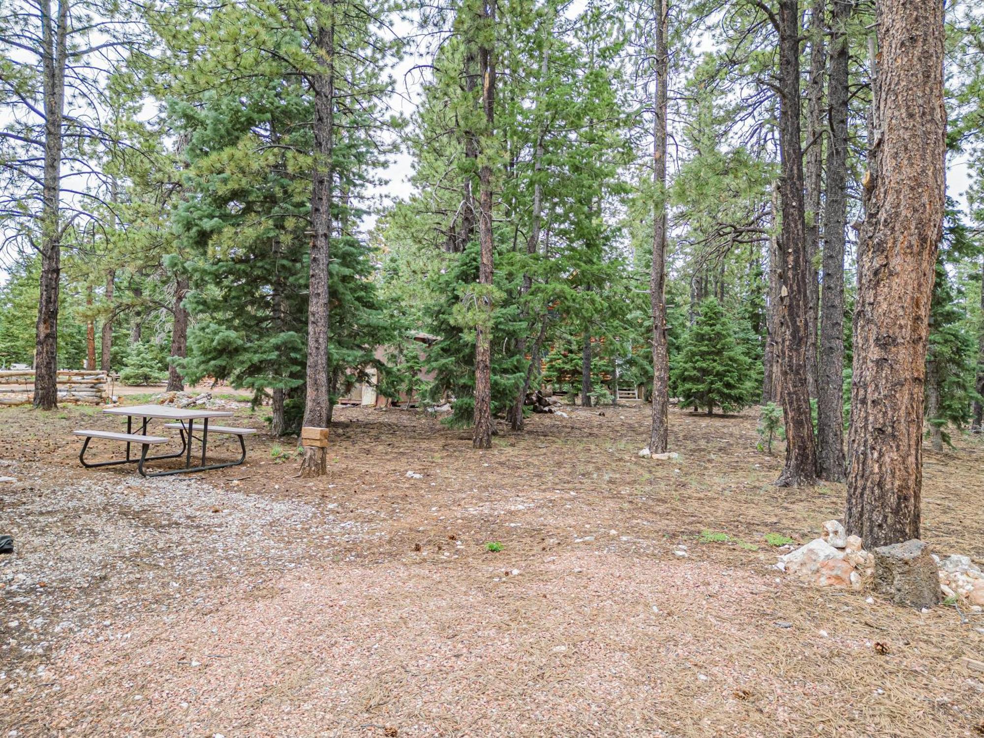 Hillside Hideaway Βίλα Duck Creek Village Εξωτερικό φωτογραφία